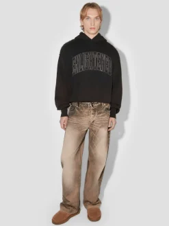 Enlighted Cropped Hoodie
